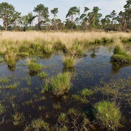 Fletcher Hotel-restaurant Jagershorst-eindhoven ホテル 4*