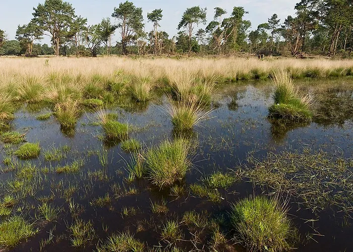 Fletcher Hotel-restaurant Jagershorst-eindhoven Ξενοδοχείο 4*